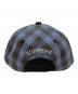 中古・古着 SUPREME (シュプリーム) Script Logo 6-Panel Cap キャップ Blue Plaid：12000円
