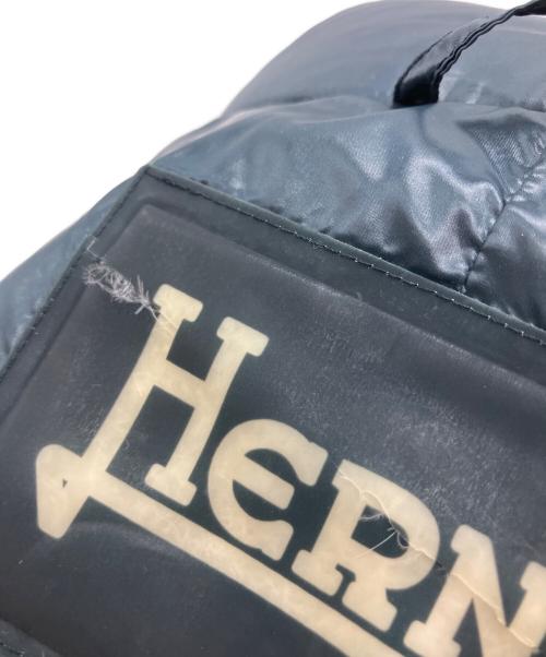 HERNO（ヘルノ）HERNO (ヘルノ) ダウンコート ブラック サイズ:40の古着・服飾アイテム