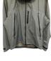 中古・古着 DAIWA (ダイワ) green label relaxing (グリーンレーベルリラクシング) GORE-TEX ゴアテックス ナイロンジャケット グレー サイズ:L：20000円