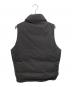 DAIWA PIER39 (ダイワ ピア39) GORE-TEX INFINIUM FIELD DOWN VEST ダウンベスト ブラック サイズ:S：25000円