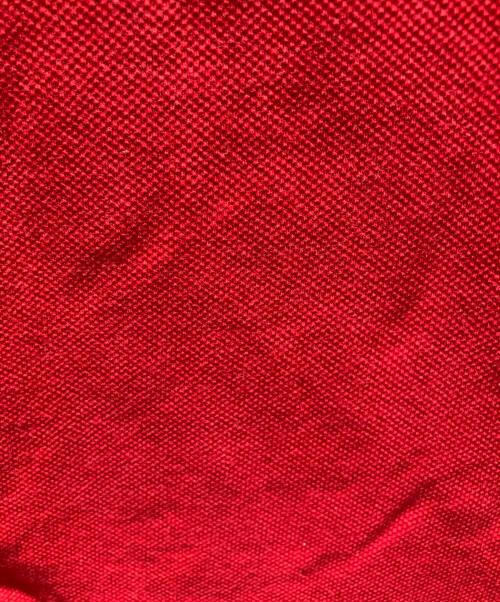 POLO RALPH LAUREN（ポロ・ラルフローレン）POLO RALPH LAUREN (ポロ・ラルフローレン) ポロシャツ レッド サイズ:XSの古着・服飾アイテム