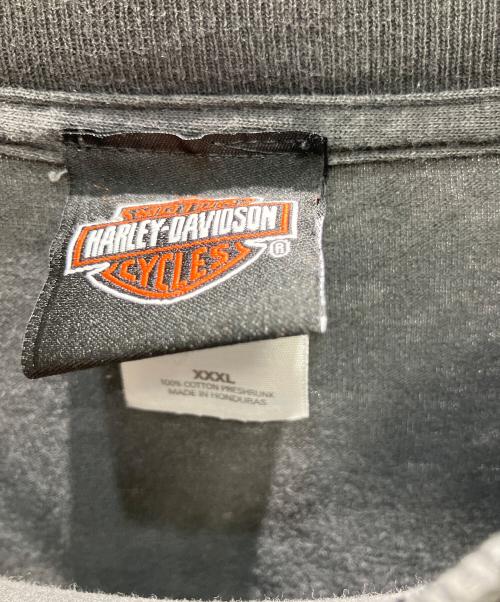 HARLEY-DAVIDSON（ハーレーダビッドソン）HARLEY-DAVIDSON (ハーレーダビッドソン) 半袖カットソー グレー サイズ:XXXLの古着・服飾アイテム
