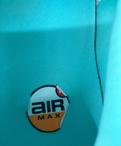 NIKE（ナイキ）NIKE (ナイキ) AIR MAX DN プレミアム ローカットスニーカー スカイブルー サイズ:28cmの古着・服飾アイテム