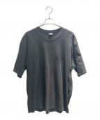 stussyステューシー）の古着「Built To Last Pig. Dyed Tee 半袖カットソー」｜グレー
