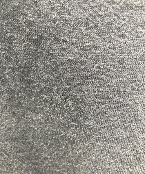 stussy（ステューシー）stussy (ステューシー) Built To Last Pig. Dyed Tee 半袖カットソー グレー サイズ:XLの古着・服飾アイテム
