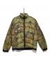 THE NORTH FACE（ザ ノース フェイス）の古着「ダウンジャケット」｜グリーン