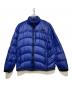 THE NORTH FACE（ザ ノース フェイス）の古着「ダウンジャケット」｜ブルー