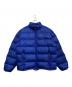 Patagonia（パタゴニア）の古着「ダウンジャケット」｜ブルー