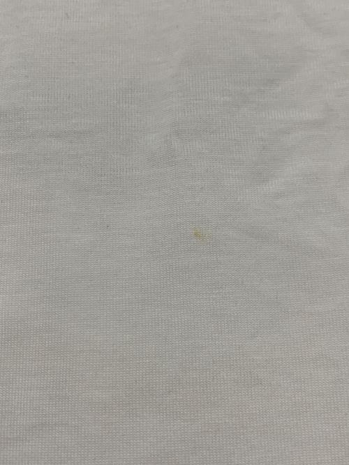 ARC'TERYX（アークテリクス）ARC'TERYX (アークテリクス) 半袖カットソー ホワイト サイズ:Sの古着・服飾アイテム