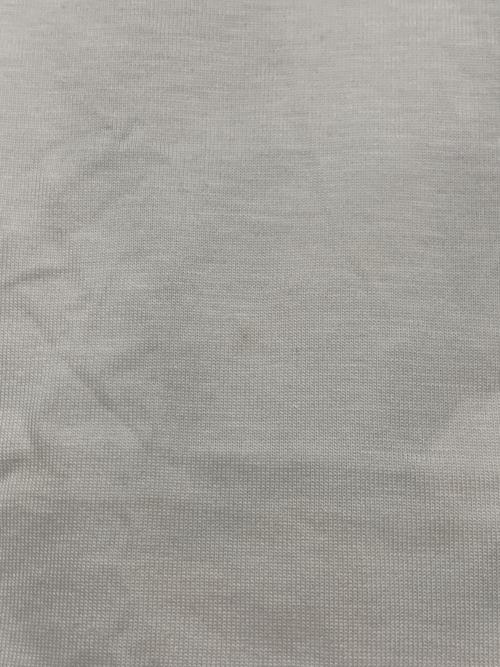 ARC'TERYX（アークテリクス）ARC'TERYX (アークテリクス) 半袖カットソー ホワイト サイズ:Sの古着・服飾アイテム