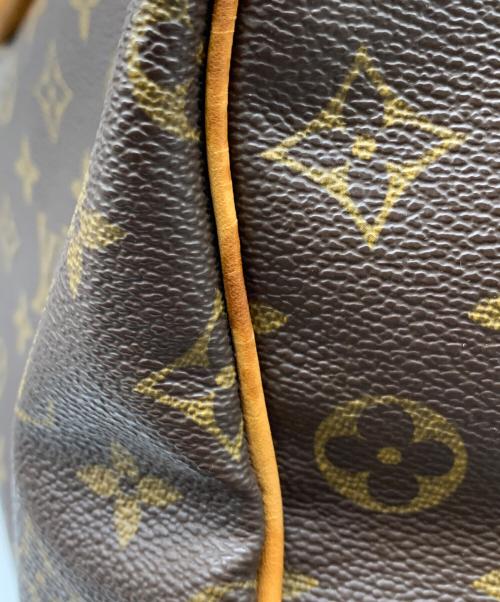 LOUIS VUITTON（ルイ ヴィトン）LOUIS VUITTON (ルイ ヴィトン) ハンドバッグ ブラウンの古着・服飾アイテム