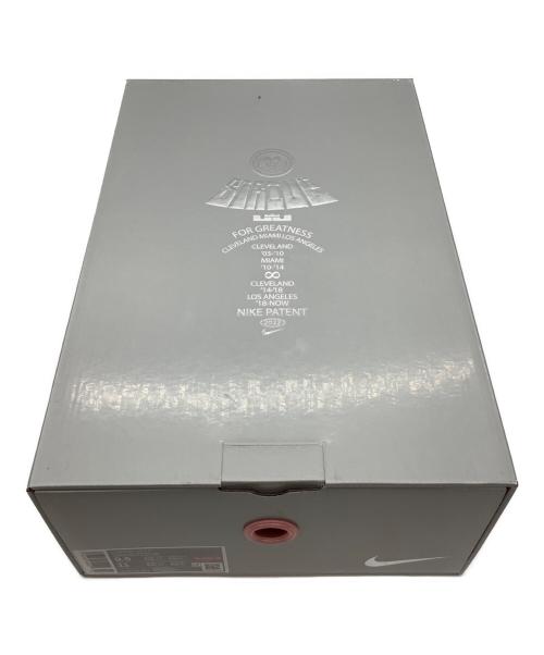 NIKE（ナイキ）NIKE (ナイキ) ローカットスニーカー ブラック×レッド サイズ:9.5の古着・服飾アイテム