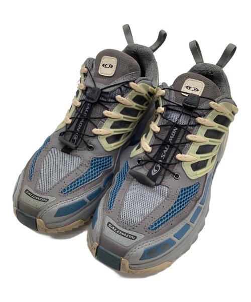 SALOMON（サロモン）SALOMON (サロモン) ローカットスニーカー グレー サイズ:9の古着・服飾アイテム