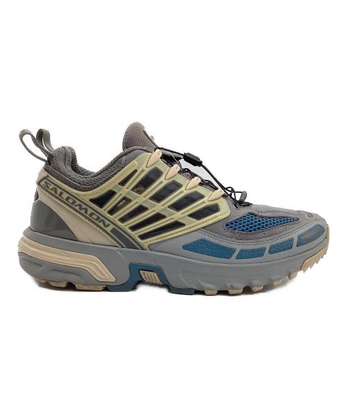 SALOMON（サロモン）SALOMON (サロモン) ローカットスニーカー グレー サイズ:9の古着・服飾アイテム