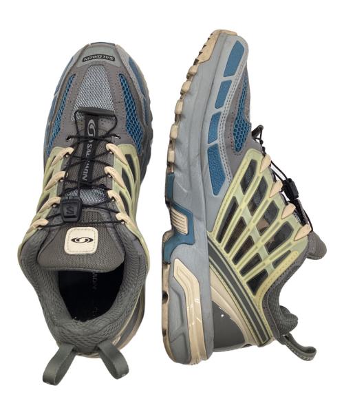 SALOMON（サロモン）SALOMON (サロモン) ローカットスニーカー グレー サイズ:9の古着・服飾アイテム