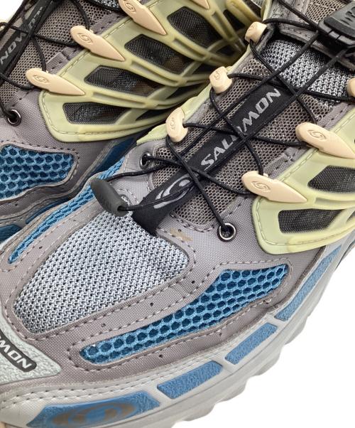 SALOMON（サロモン）SALOMON (サロモン) ローカットスニーカー グレー サイズ:9の古着・服飾アイテム