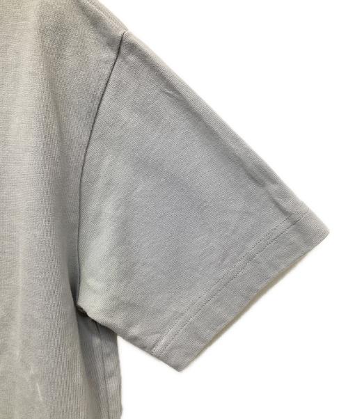 Christian Dior（クリスチャン ディオール）Christian Dior (クリスチャン ディオール) Daniel Arsham (ダニエル・アルシャム) ロゴプリントTシャツ ライトグレー サイズ:XSの古着・服飾アイテム
