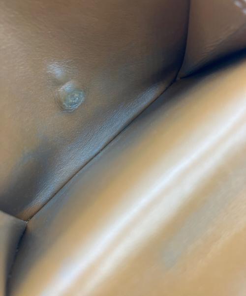 CELINE（セリーヌ）CELINE (セリーヌ) 3つ折り財布 ホワイトの古着・服飾アイテム