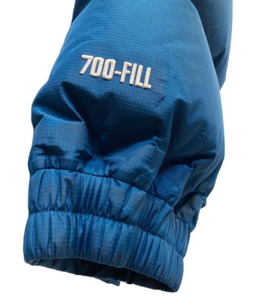 SUPREME（シュプリーム）Supreme (シュプリーム) 19FW GORE-TEX 700-Fill Down Parka ブルー サイズ:Lの古着・服飾アイテム