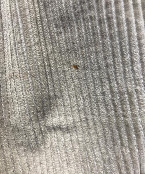 ISSEY MIYAKE MEN（イッセイミヤケメン）ISSEY MIYAKE MEN (イッセイミヤケメン) コーデュロイパンツ ブラウン サイズ:XLの古着・服飾アイテム