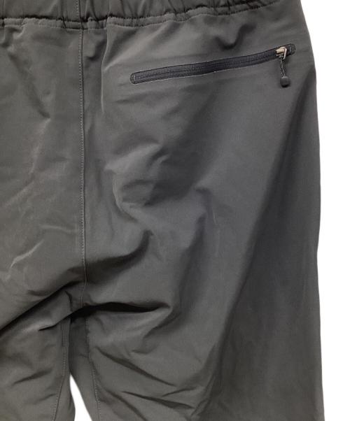 THE NORTH FACE（ザ ノース フェイス）THE NORTH FACE (ザ ノース フェイス) パンツ グレー サイズ:XLの古着・服飾アイテム