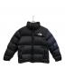 THE NORTH FACE（ザ ノース フェイス）の古着「ダウンジャケット」｜ブラック