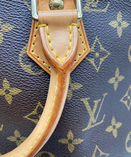 LOUIS VUITTON（ルイ ヴィトン）LOUIS VUITTON (ルイ ヴィトン) ハンドバッグ ブラウンの古着・服飾アイテム