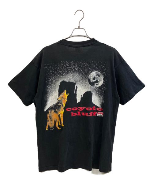 FRUIT OF THE LOOM（フルーツオブザルーム）FRUIT OF THE LOOM (フルーツオブザルーム) 半袖カットソー ブラック サイズ:XLの古着・服飾アイテム