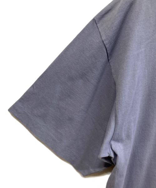 stussy（ステューシー）stussy (ステューシー) 半袖カットソー ブルー サイズ:XLの古着・服飾アイテム