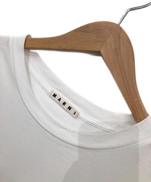 MARNI（マルニ）MARNI (マルニ) コットンロゴクルーネックTEE ホワイト サイズ:Sの古着・服飾アイテム