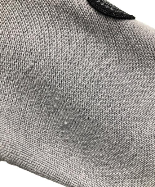 CANADA GOOSE（カナダグース）CANADA GOOSE (カナダグース) WINDBRIDGE HOODY グレー サイズ:SIZE XSの古着・服飾アイテム