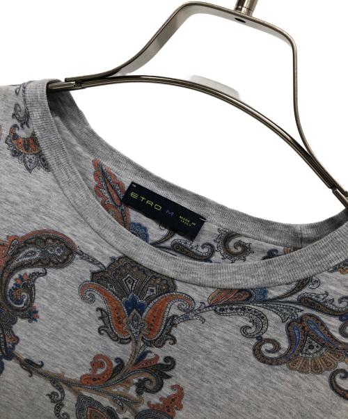 ETRO（エトロ）ETRO (エトロ) 半袖カットソー ライトグレー サイズ:Ｍの古着・服飾アイテム