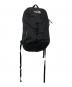 THE NORTH FACE（ザ ノース フェイス）の古着「FLYWEIGHT PACK 22」