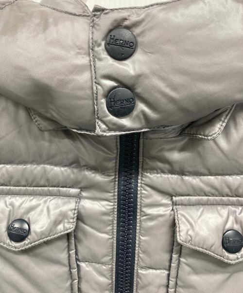 HERNO（ヘルノ）HERNO (ヘルノ) ダウンジャケット グレー サイズ:4Aの古着・服飾アイテム