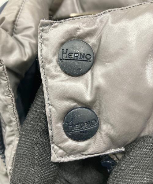 HERNO（ヘルノ）HERNO (ヘルノ) ダウンジャケット グレー サイズ:4Aの古着・服飾アイテム