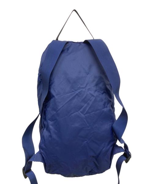 ARC'TERYX（アークテリクス）ARC'TERYX (アークテリクス) Index 15 Backpack ネイビー×スカイブルーの古着・服飾アイテム