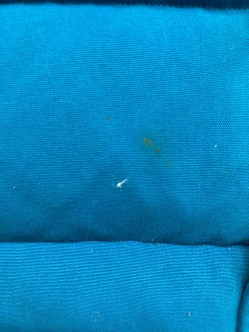 Patagonia（パタゴニア）Patagonia (パタゴニア) ダウンベスト レッド×ブルー サイズ:Mの古着・服飾アイテム