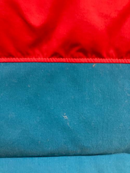 Patagonia（パタゴニア）Patagonia (パタゴニア) ダウンベスト レッド×ブルー サイズ:Mの古着・服飾アイテム