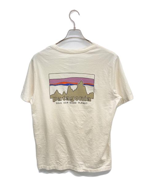Patagonia（パタゴニア）Patagonia (パタゴニア) 半袖カットソー ブラウン サイズ:Ｍの古着・服飾アイテム