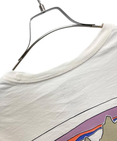 Patagonia（パタゴニア）Patagonia (パタゴニア) 半袖カットソー ブラウン サイズ:Ｍの古着・服飾アイテム