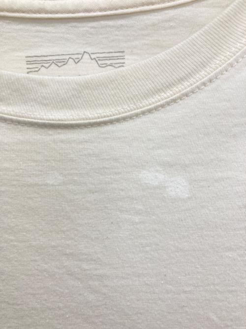Patagonia（パタゴニア）Patagonia (パタゴニア) 半袖カットソー ブラウン サイズ:Ｍの古着・服飾アイテム