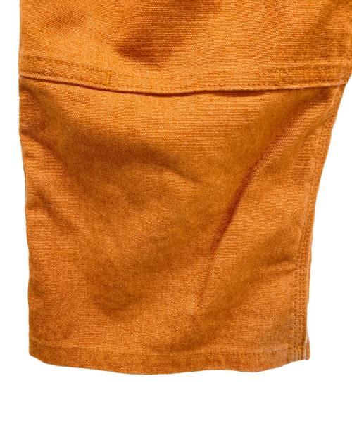 Patagonia（パタゴニア）Patagonia (パタゴニア) ダブルニーパンツ ブラウン サイズ:SIZE 29の古着・服飾アイテム
