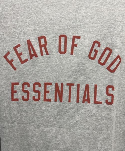 FOG ESSENTIALS（フィアオブゴッド エッセンシャル）FOG ESSENTIALS (フィアオブゴッド エッセンシャル) 半袖カットソー グレー サイズ:Lの古着・服飾アイテム