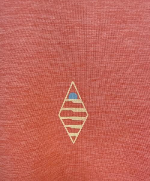 Patagonia（パタゴニア）Patagonia (パタゴニア) 半袖カットソー オレンジ サイズ:SIZE Sの古着・服飾アイテム