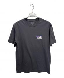 Patagonia（パタゴニア）の古着「半袖カットソー」｜グレー