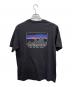 Patagonia (パタゴニア) 半袖カットソー グレー サイズ:SIZE M：4000円