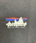 中古・古着 Patagonia (パタゴニア) 半袖カットソー グレー サイズ:SIZE M：4000円