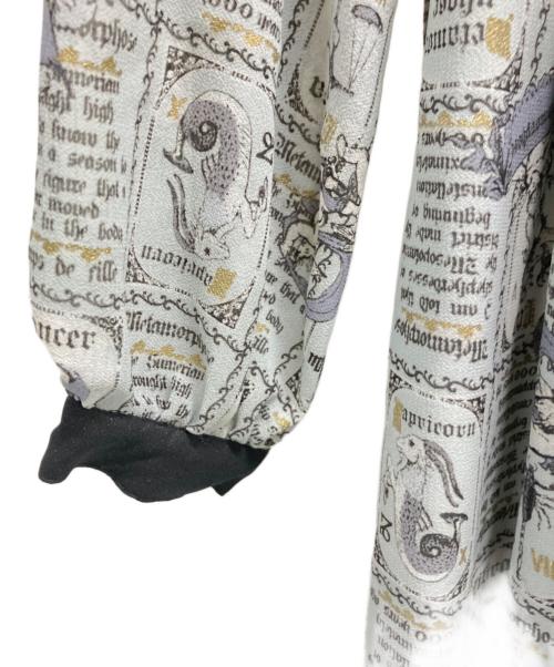 Metamorphose（メタモルフォーゼ）Metamorphose (メタモルフォーゼ) 長袖ワンピース グレー サイズ:	SIZE Freeの古着・服飾アイテム