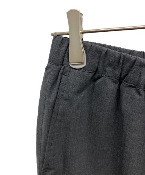 THE NORTH FACE（ザ ノース フェイス）THE NORTH FACE (ザ ノース フェイス) Coyote Slacks グレー サイズ:Lの古着・服飾アイテム