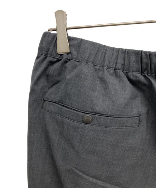 THE NORTH FACE（ザ ノース フェイス）THE NORTH FACE (ザ ノース フェイス) Coyote Slacks グレー サイズ:Lの古着・服飾アイテム